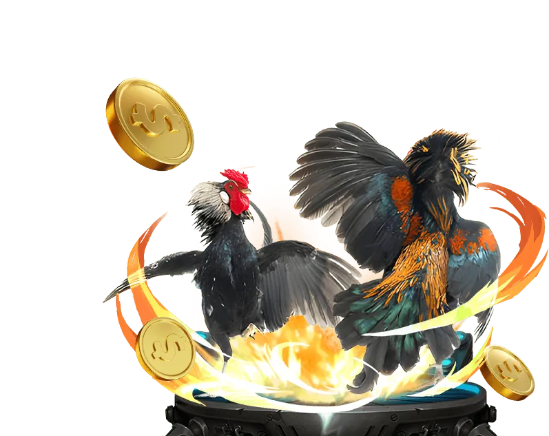 Phân Tích Khuyến Mãi wwin999